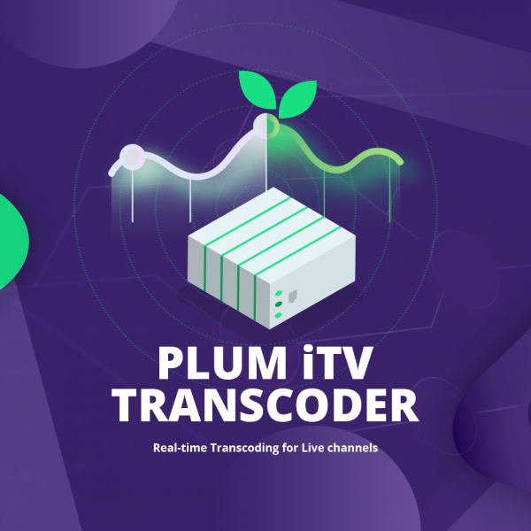 Plum Transcoder